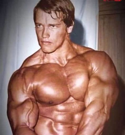 Arnold Schwarzenegger .